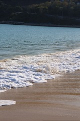 A058D9A5-FA87-450A-A00B-77841325A364/L0/001
