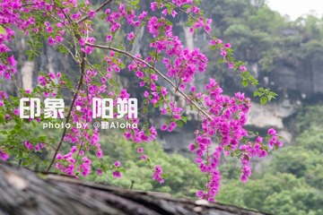 IMG_0901.jpg