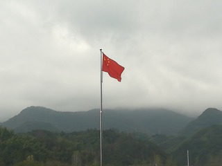 87647