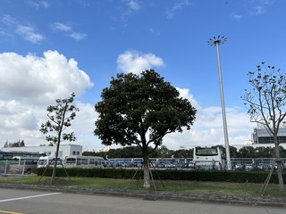198FFE6C-11C4-4BD1-B19D-37B4C74E6F72/L0/001