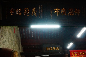 1000086608