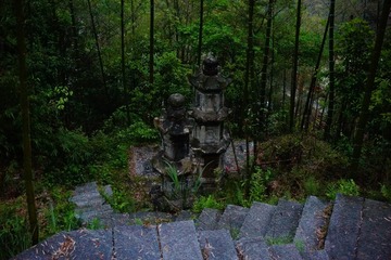 1000085637