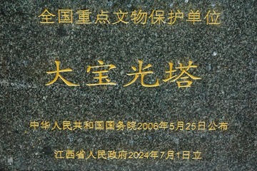 1000085453