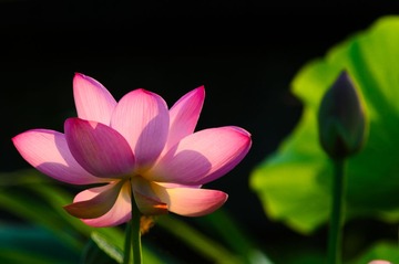 DSC_3435.jpg