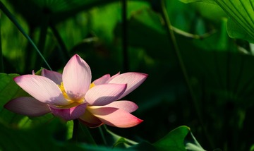 DSC_3480.jpg