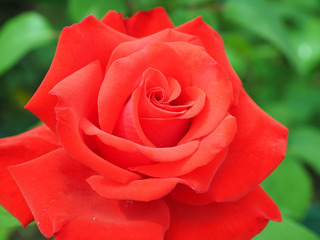 https://cdn6-banquan.ituchong.com/weili/l/197641862315769922.jpg