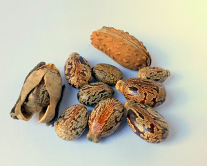 https://cdn6-banquan.ituchong.com/weili/l/189509187121971758.jpg