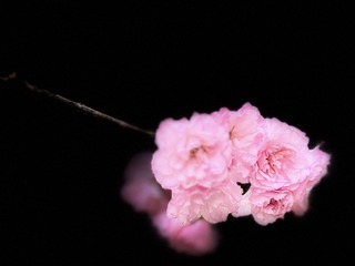 C394B018-01B3-4F85-8A94-A95C0A3F21A8/L0/001