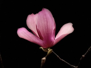 EF724DFC-2437-4F8E-8480-5D44DD125D86/L0/001