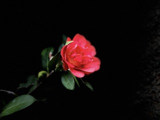 578C2198-5F15-48EC-A712-CBB8543A1069/L0/001