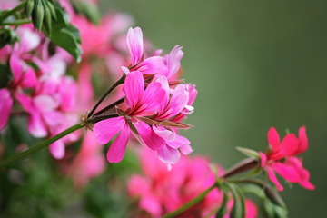 https://cdn6-banquan.ituchong.com/weili/l/200905144107532294.jpg
