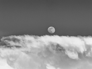 B0001619-2