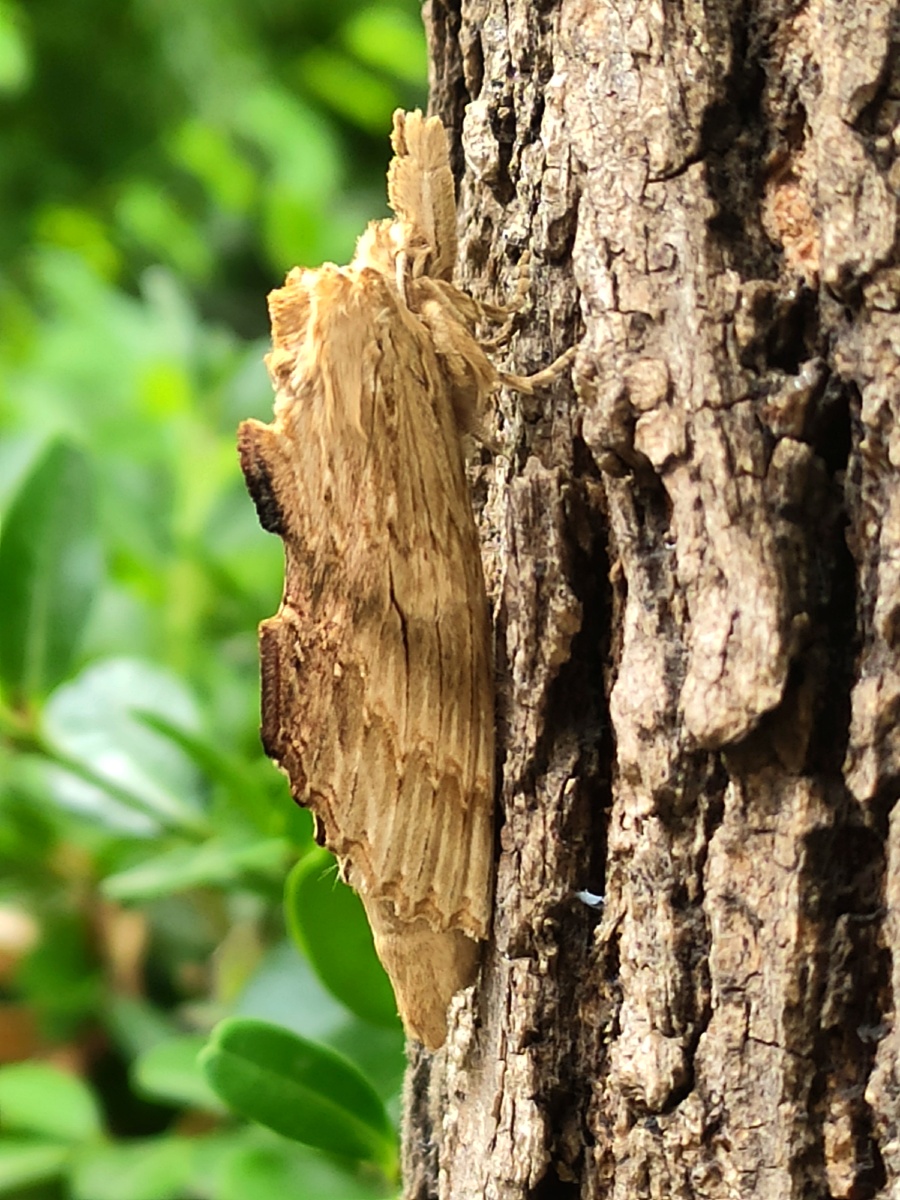 非虫91919193932021年6月27日拉黑杨红茵907782021年6月27