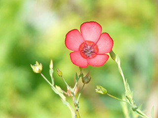 https://cdn6-banquan.ituchong.com/weili/l/200861721988169743.jpg