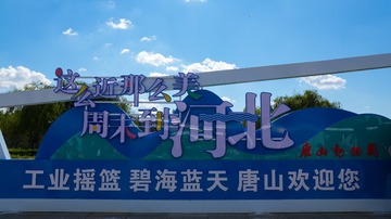input/DSC03989