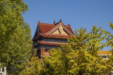 input/莲花广场南海寺022
