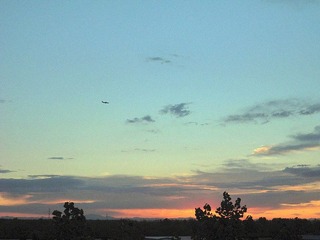 DSC07464.jpg