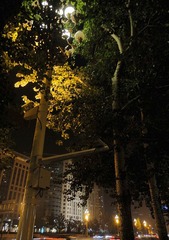 DSC08118.jpg