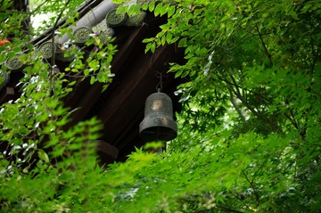 input/_NZ62543
