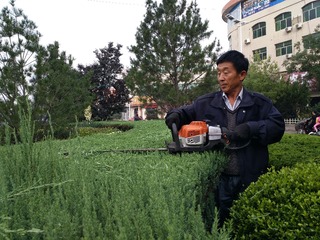 input/马丽霞《城市美容师》