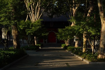 input/DSC00017