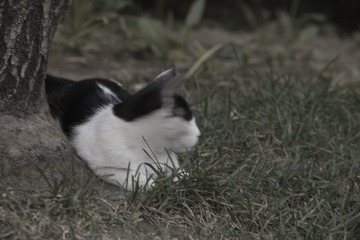 IMG13657.jpg