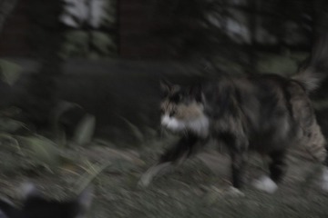 IMG13658.jpg