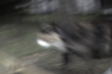 IMG13659.jpg