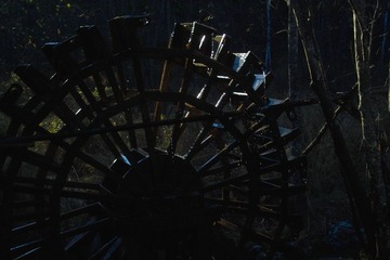 IMG13953.jpg