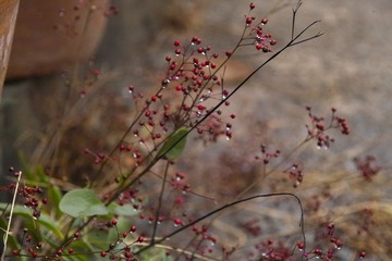 IMG14072.jpg