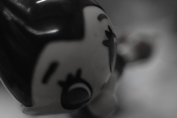 IMG14408.jpg