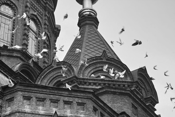 IMG14505.jpg
