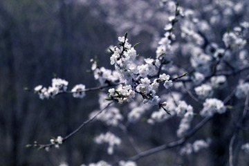 IMG14645.jpg