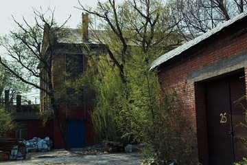 IMG15411_DxOFP