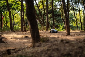 input/DSC08019
