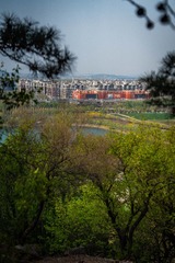 input/DSC08021