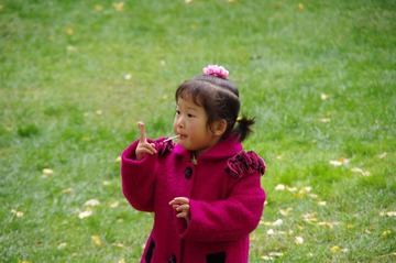 IMGP0906.JPG