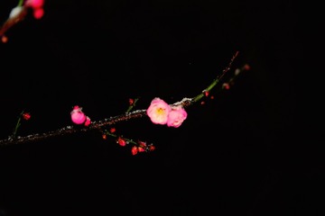7F4AB41D-67F7-4A55-918F-F5B814B4CB54/L0/001