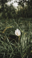 191579
