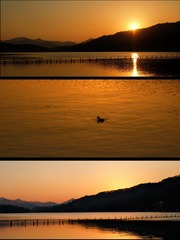 5568ABCE-5779-4000-A132-0F1B913CE2CC/L0/001