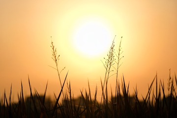 79957191-CC8E-4D38-8CE6-FE3AB42B511C/L0/001