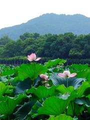 B7F69501-5715-4AC6-A7DB-B4E560F9ABCC/L0/001
