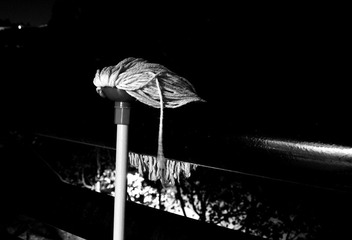 _DSC6278F.jpg