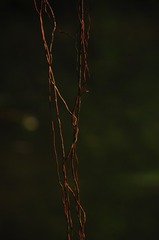 159812