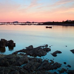 DSC_3461.jpg