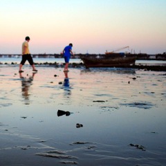 DSC_3725-1.jpg