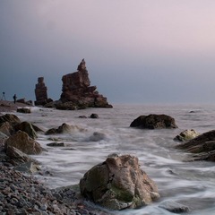 DSC_468729.jpg