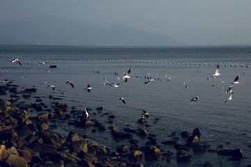 8A2C314B-96B0-415A-9DD7-881F4C81F414/L0/001