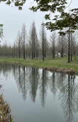 E51BD58E-8A30-4DBB-947E-8CA435941024/L0/001