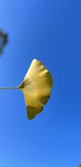 17E75727-2D67-43EE-BF77-D0FEB219CF36/L0/001